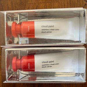 Glossier Cheek Stain (2)